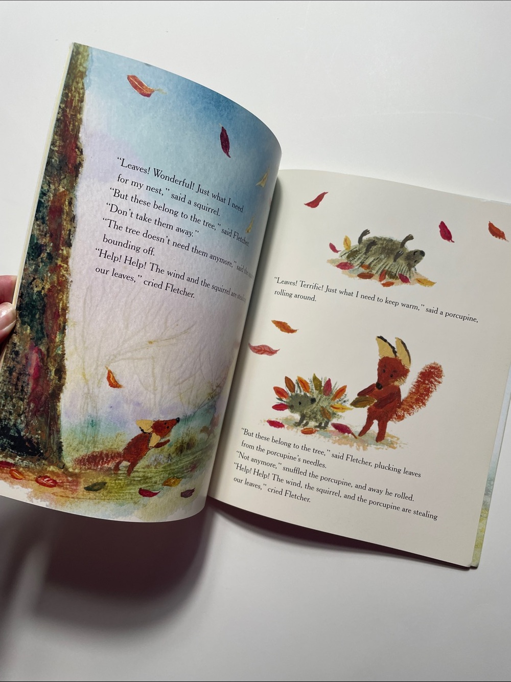 Fletcher and the Falling Leaves | Paperback Kids Picture Book - Picture 3 of 3